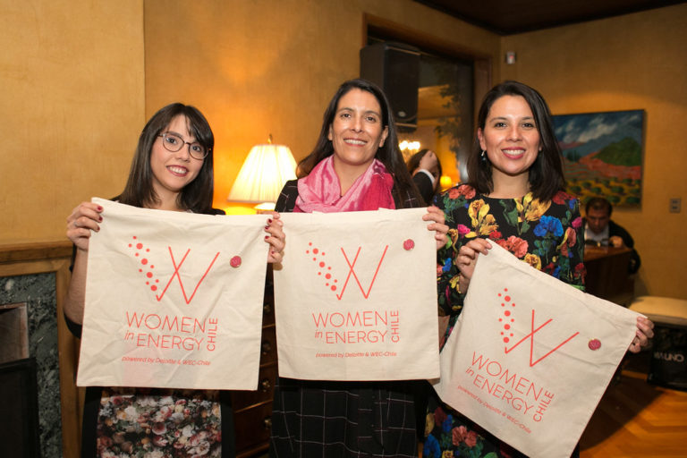Chile-Women-in-Energy-1024x683