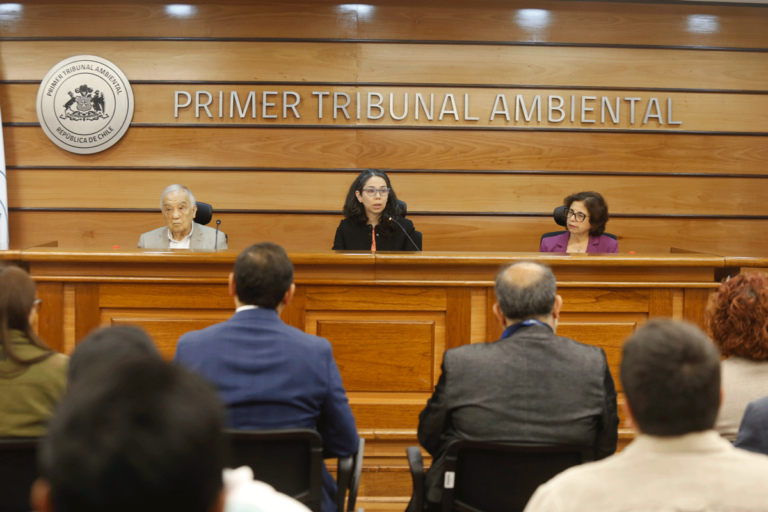 Cortesía Primer Tribunal Ambiental
