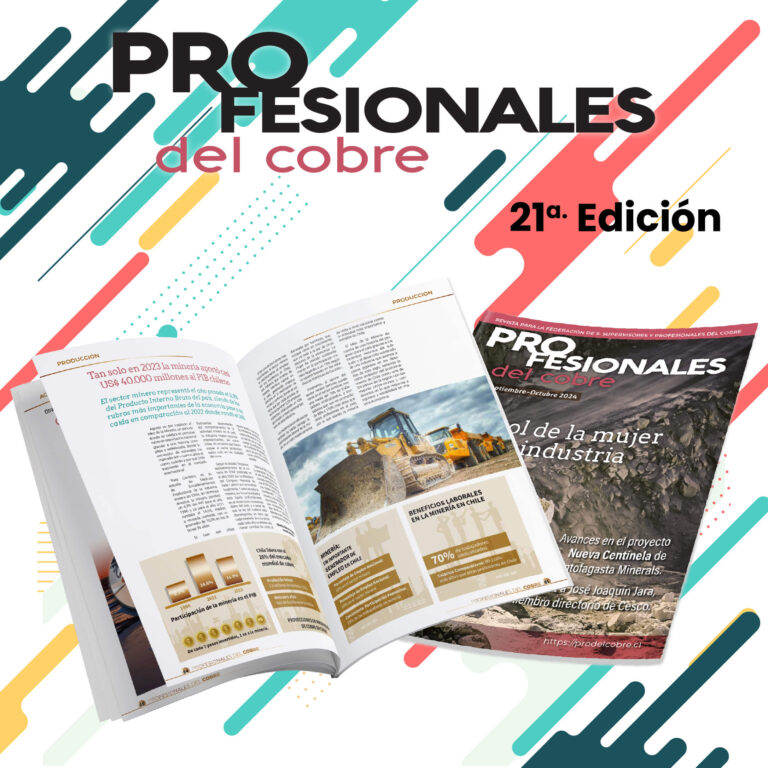 PRODELCOBRE 1080 x 1080 copiaOCT2024