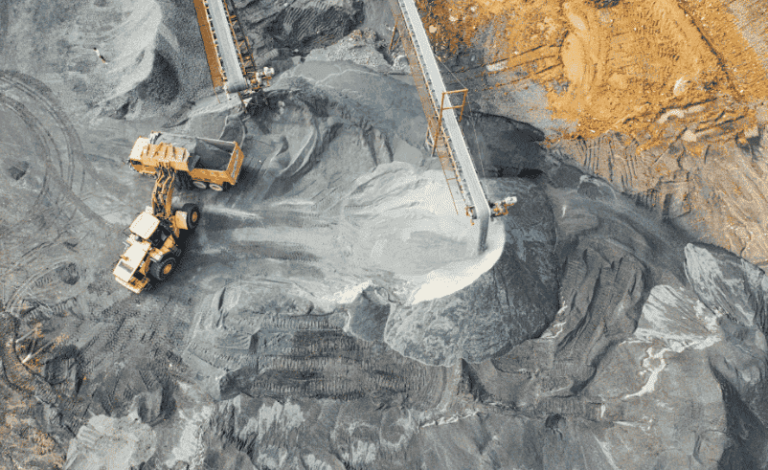 Cortesía Universidad de Concepción