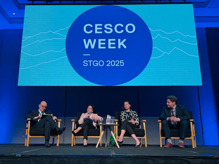 Ministra de Minería Aurora Williams.