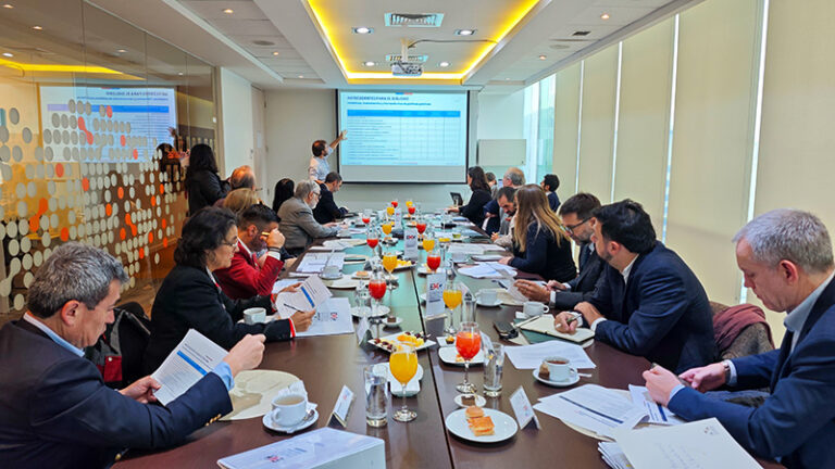 Ministerio de Minería - Comité Consultivo