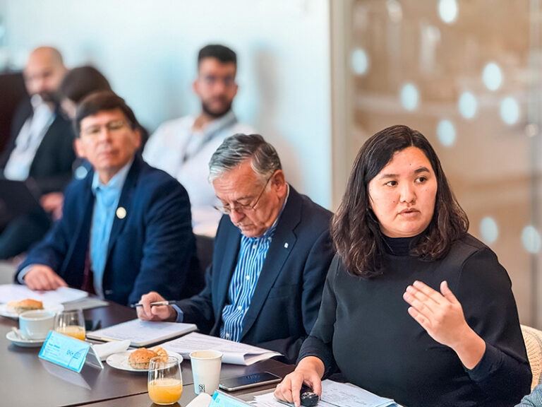 Estrategia de Minerales Críticos