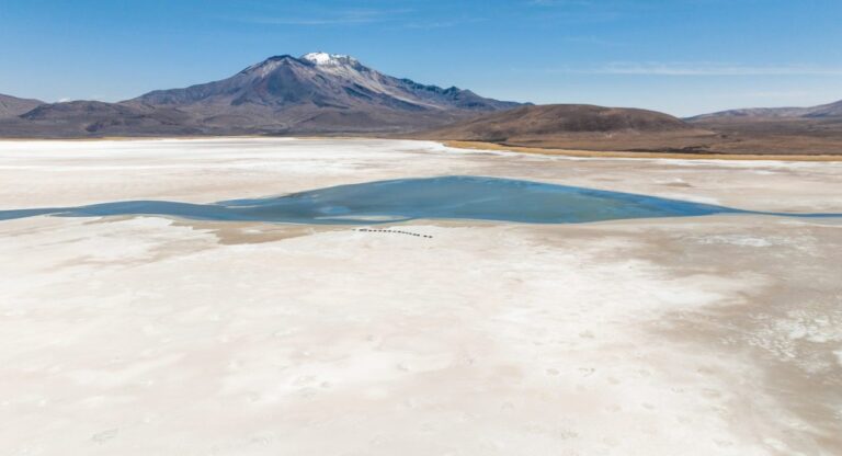 Cortesía Primer Tribunal Ambiental
