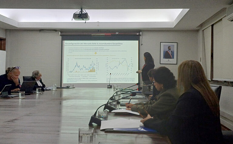 Informe Cochilco 28 de mayo 2025