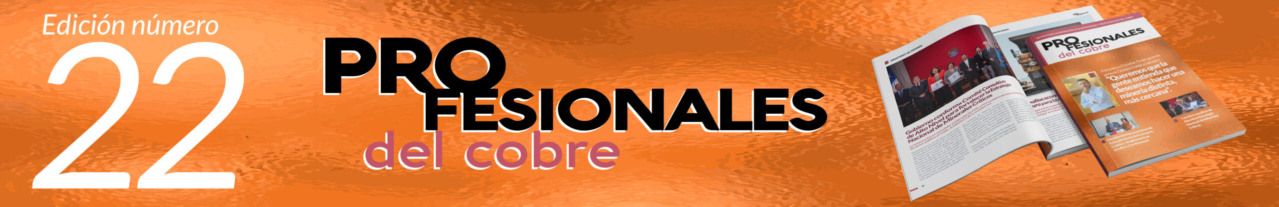 banners_Mesa de trabajo 1