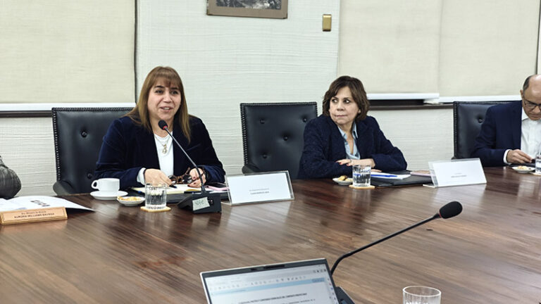 Cochilco, Litio - CEOL.