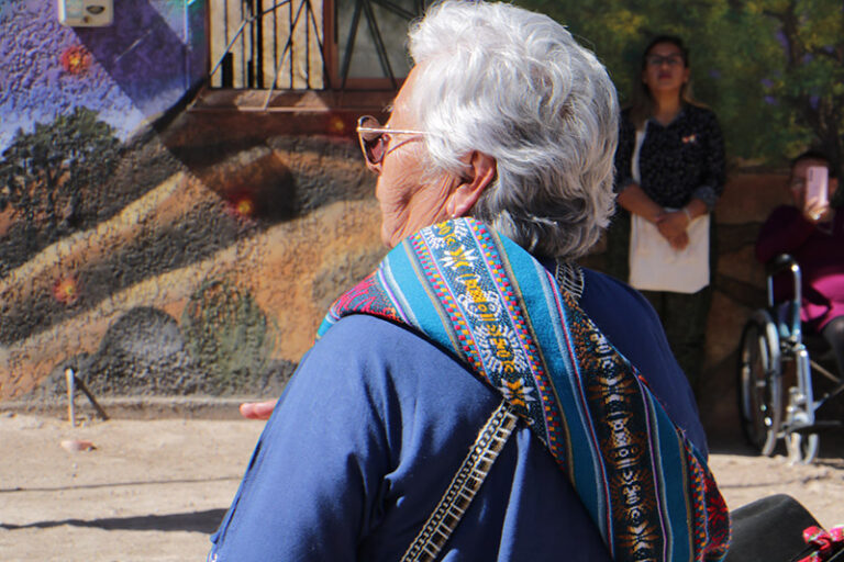 Consulta indígena - Litio.