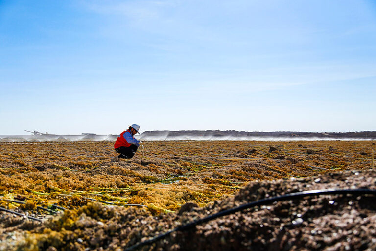 Cortesía Antofagasta Minerals-web