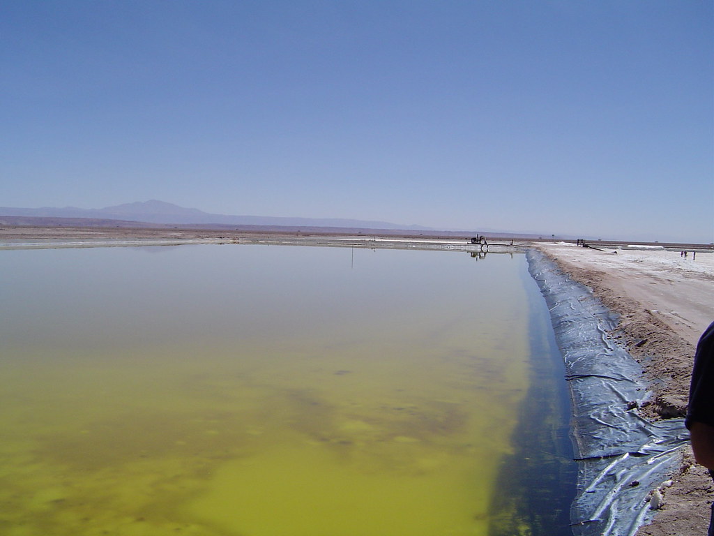 48888307_a349f2d141_b