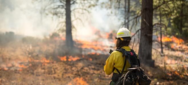 AdobeStock_204409318