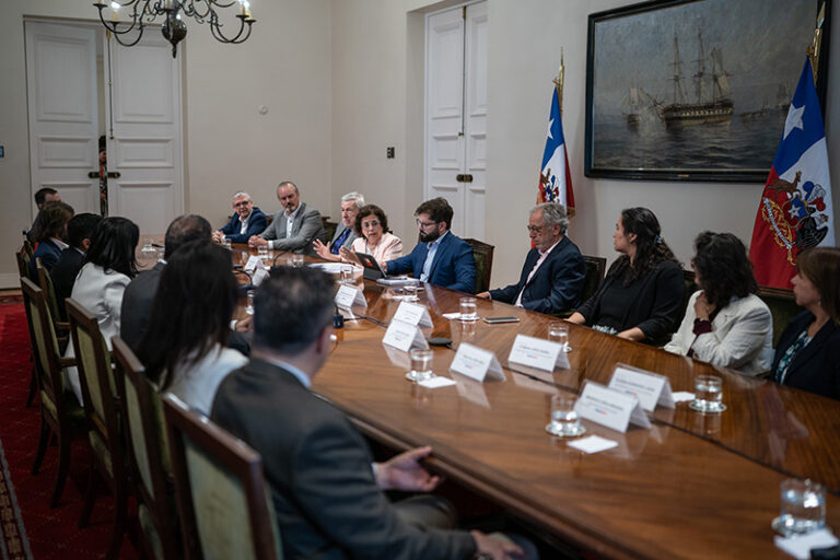 estargia minerales web 2