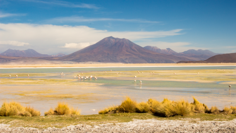 El Industrial edición Diciembre 2025 - Enero 2026 (17)