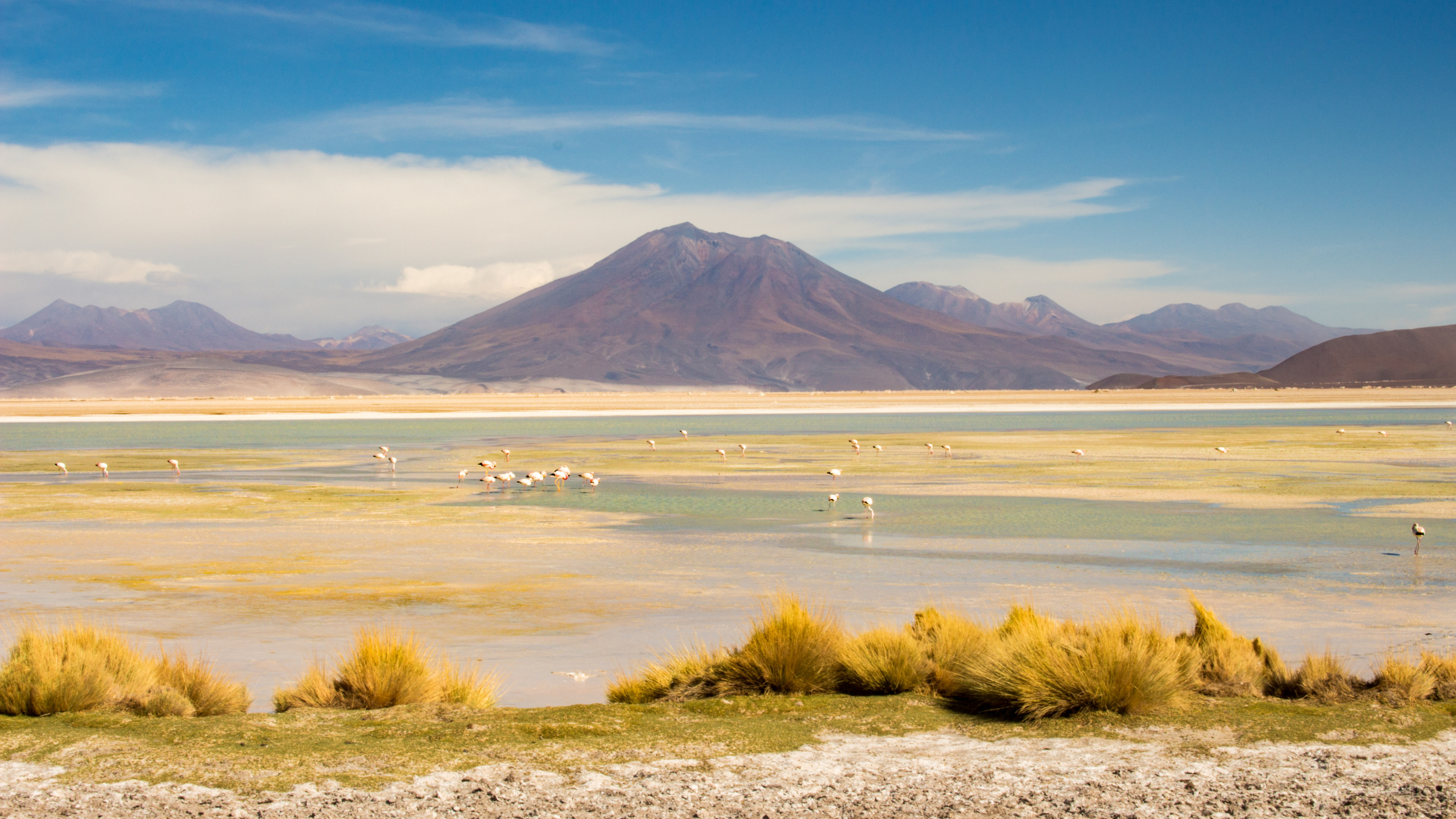 El Industrial edición Diciembre 2025 - Enero 2026 (17)