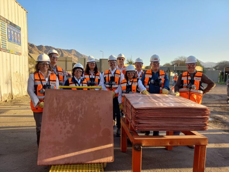 WhatsApp-Image-2026-02-02-at-15.31.19