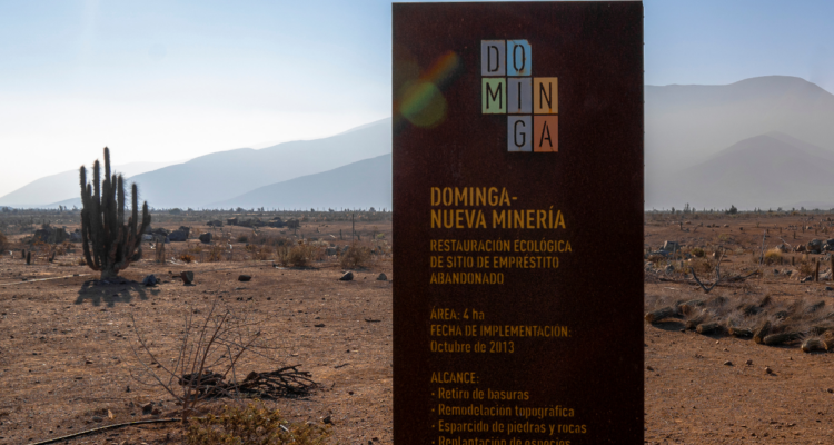 proyecto-dominga-2-750x400