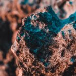 sam-moghadam-2WMKJWem-Xk-unsplash