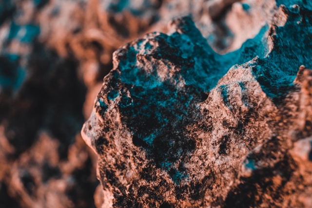 sam-moghadam-2WMKJWem-Xk-unsplash