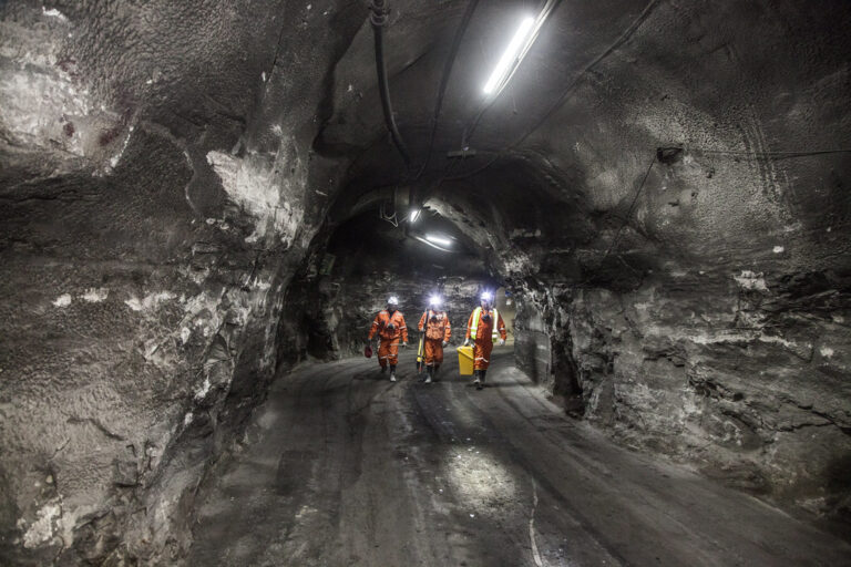 47462145982_cffdee885d_b