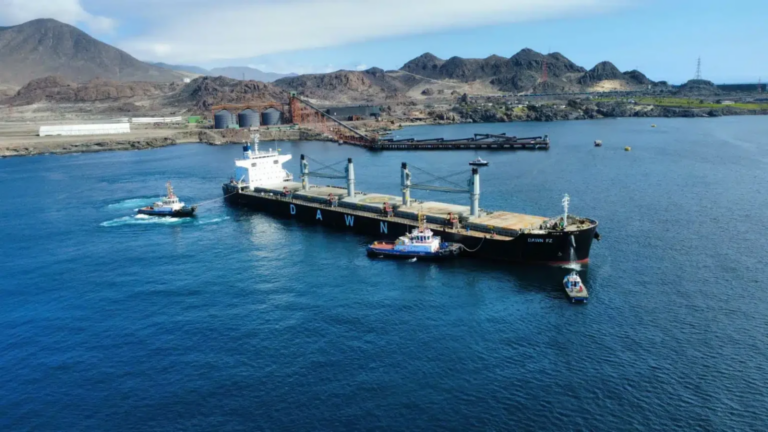 El Industrial edición Diciembre 2025 - Enero 2026 (53)