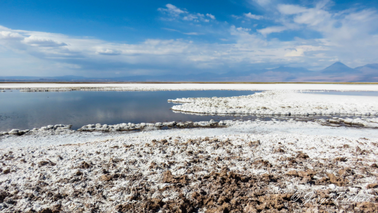 El Industrial edición Diciembre 2025 - Enero 2026 (54)