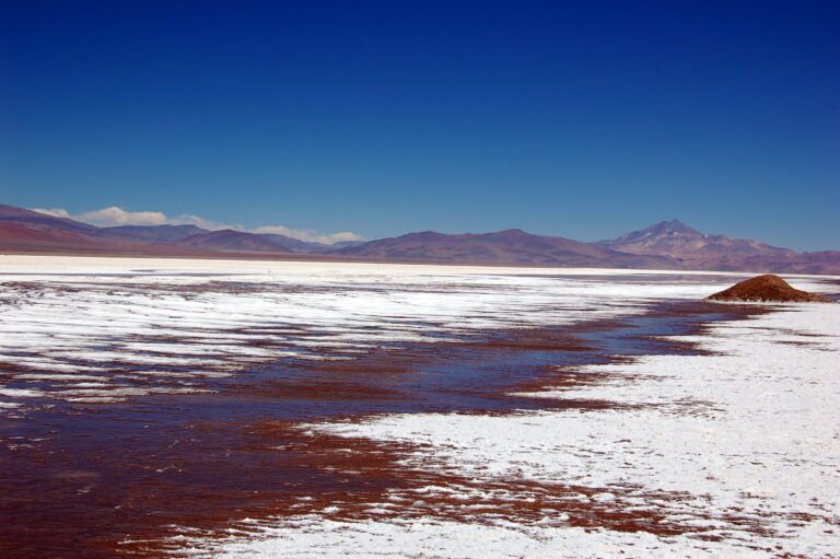 Salar_Maricunga_Atacama