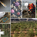 Biodiversidad-Candelaria-web