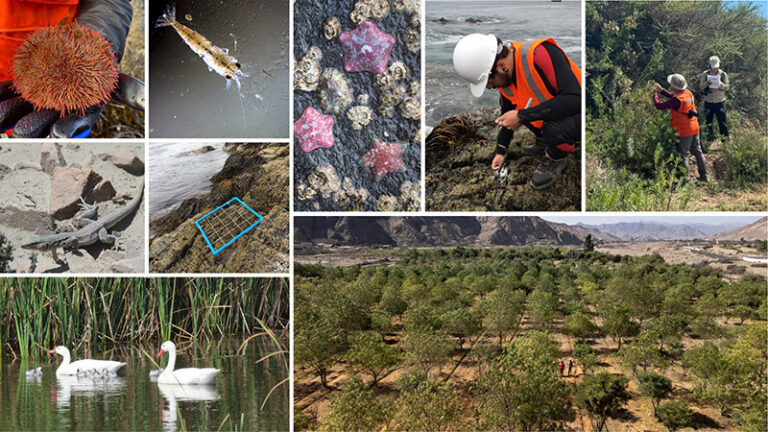 Biodiversidad-Candelaria-web