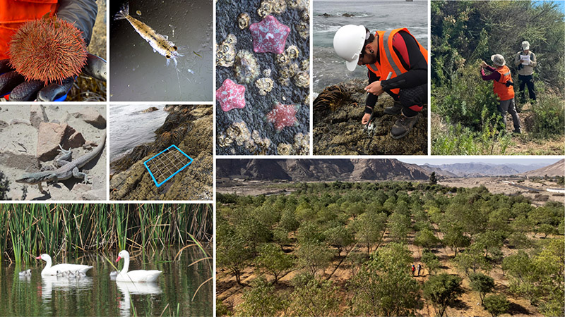 Biodiversidad-Candelaria-web