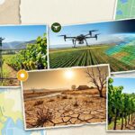 PORTADA REPORTAJE AGRICULTURA