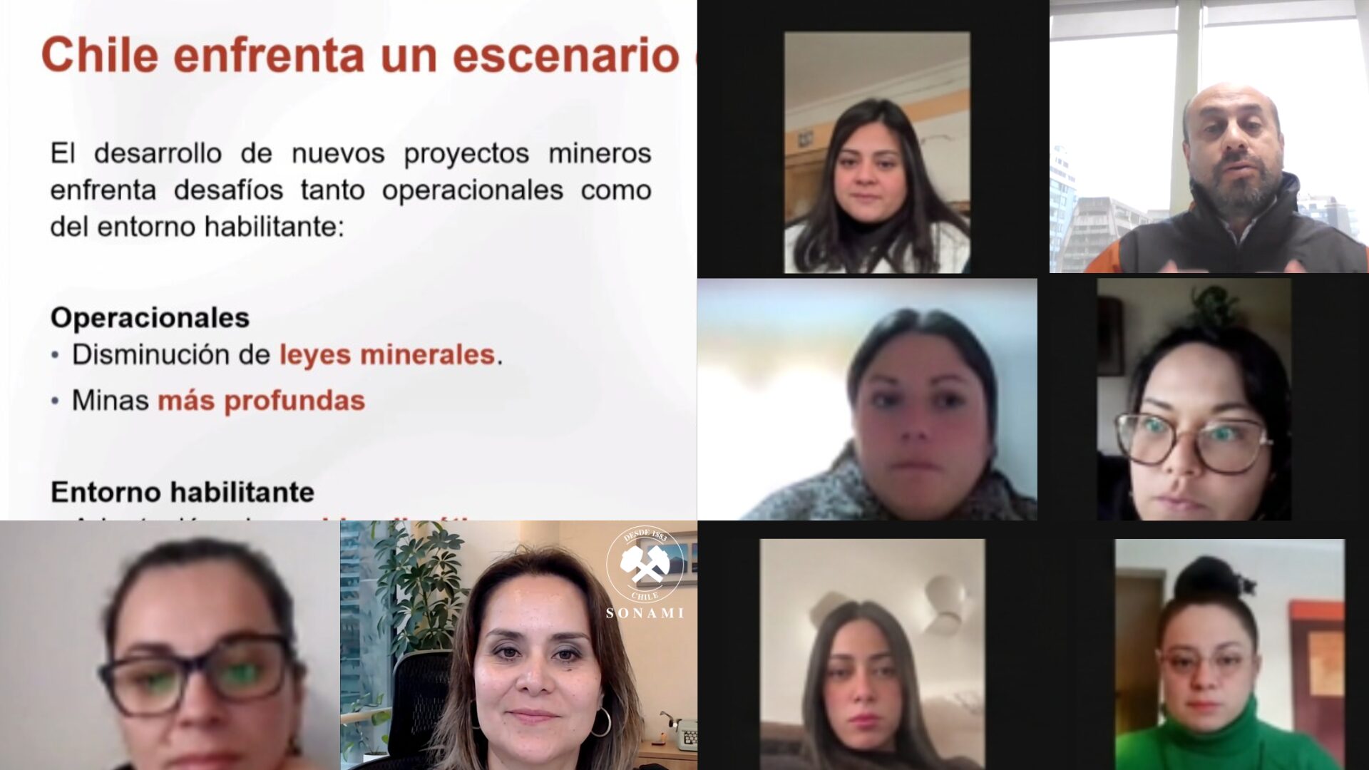 IMAGEN SONAMI