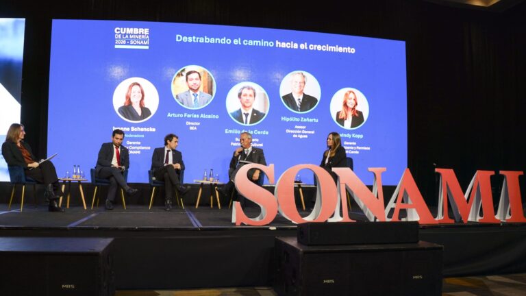 IMAGEN SONAMI