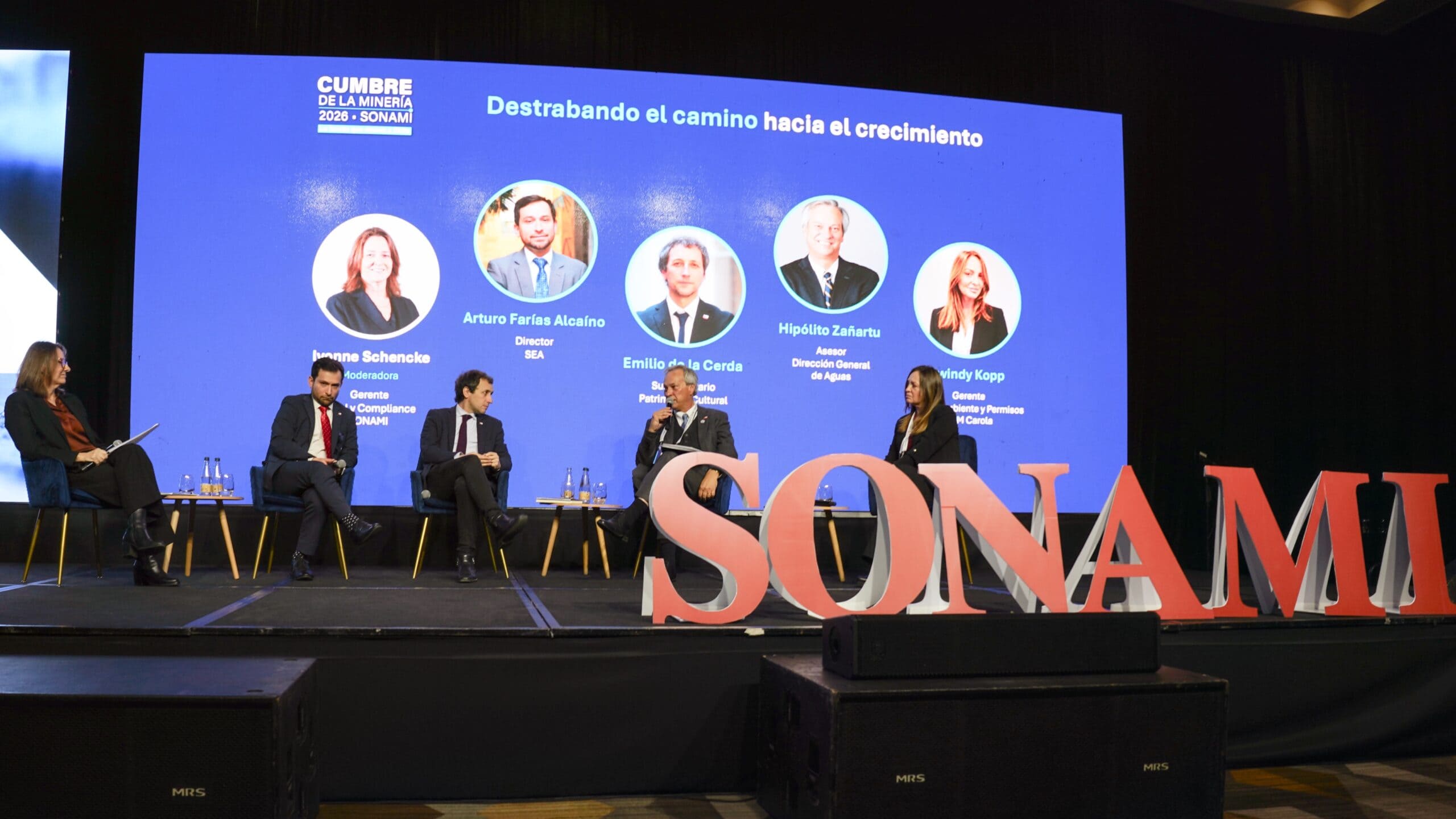 IMAGEN SONAMI